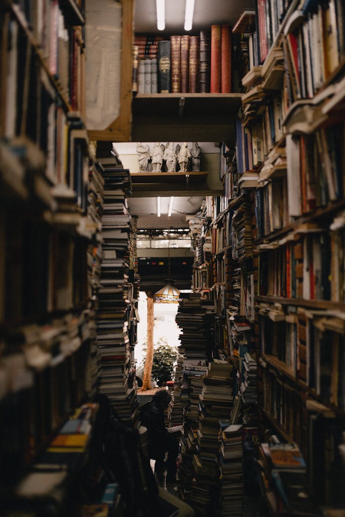 services-04 A densely packed library aisle with numerous stacks of books creating a warm and inviting atmosphere.