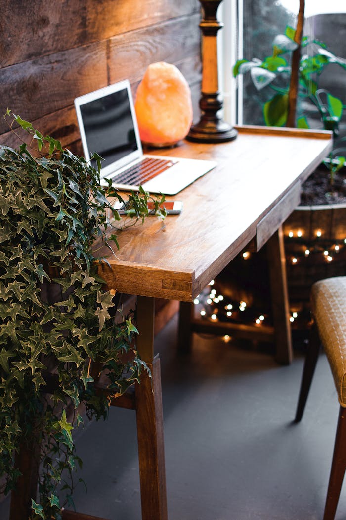 services-02 A cozy home office setup featuring a laptop, salt lamp, and plants on a wooden desk. Ideal for remote work.